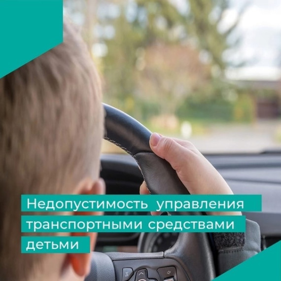 Дорожная безопасность.